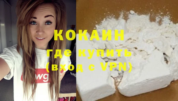 индика Белокуриха
