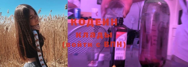 индика Белокуриха