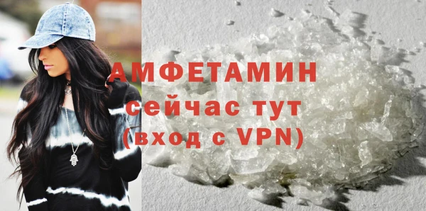 индика Белокуриха