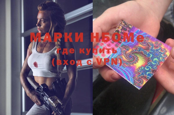 индика Белокуриха