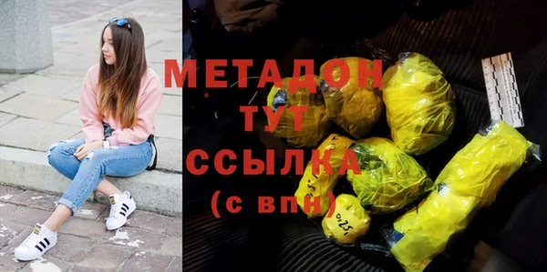 индика Белокуриха