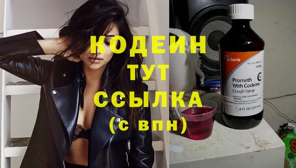 индика Белокуриха
