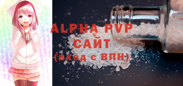индика Белокуриха