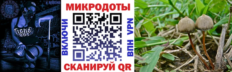 Галлюциногенные грибы Magic Shrooms  где можно купить наркотик  Благодарный 